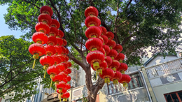 李玟腿伤住院，发文称希望你们等我回来