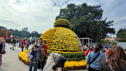 李玟腿伤住院，发文称希望你们等我回来