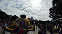 原生鸿蒙操作系统发布，中国自主操作系统梦想照进现实