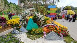 海花岛等景点举行文明旅游暨诚信宣传主题活动